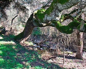 Hiking Trails