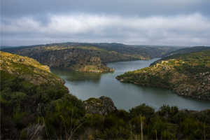 A springtime to discover the Douro