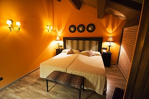 Special Double Room
