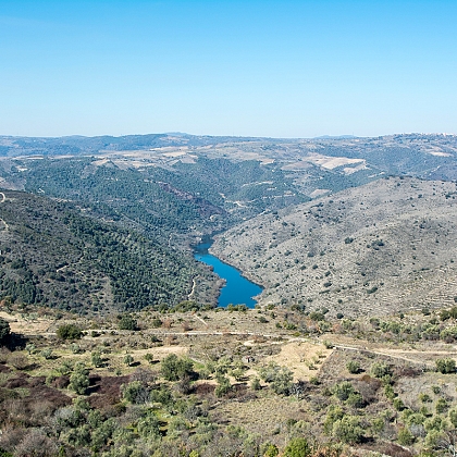 Douro Arribes 