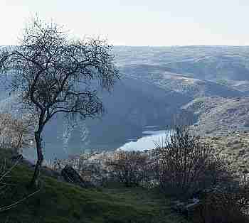 Vistas de Fermoselle