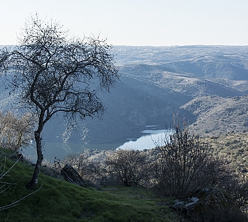 Vistas de Fermoselle