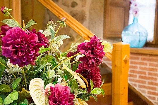 Images de nos hébergements