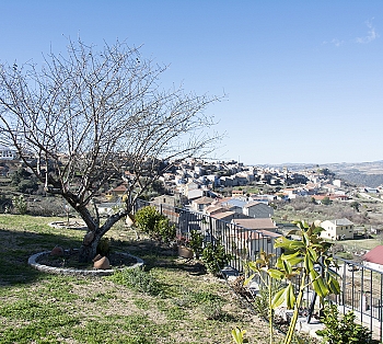 Terrazas y Jardines