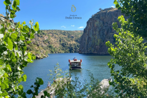 Paseo Fluvial por el Duero