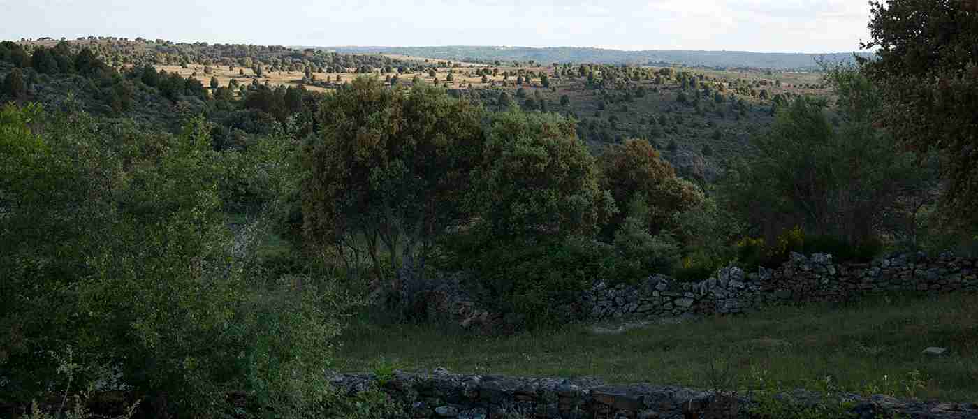 Hiking Routes in Fermoselle