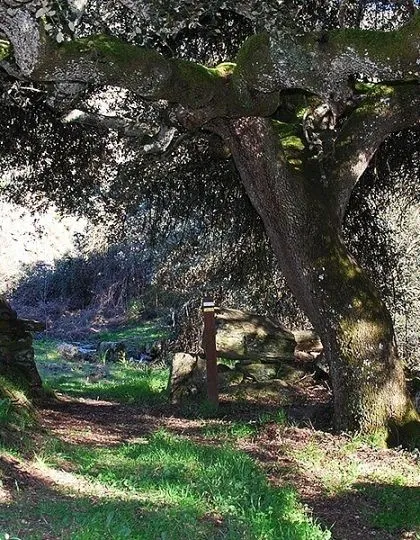 Places of Interest Places of Interest