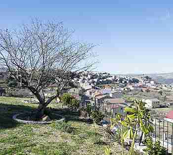 Terraces and Gardens