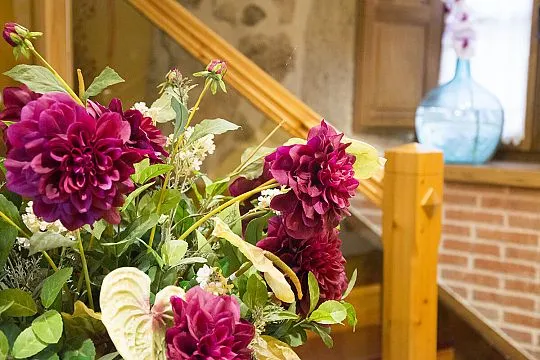 Decoración