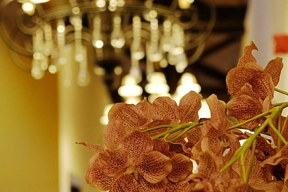 Decoración