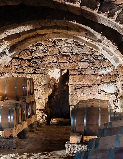 Visit the 7 Peldaños Winery