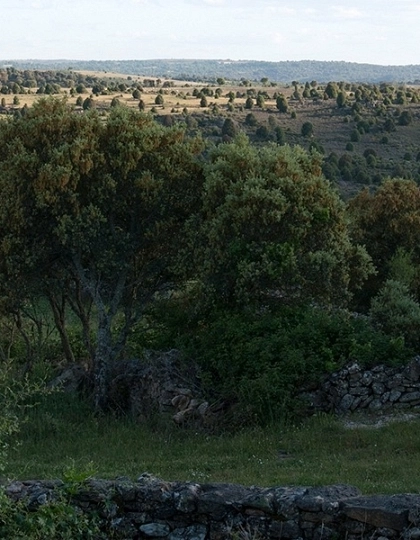 Itinéraires de randonnée à Fermoselle