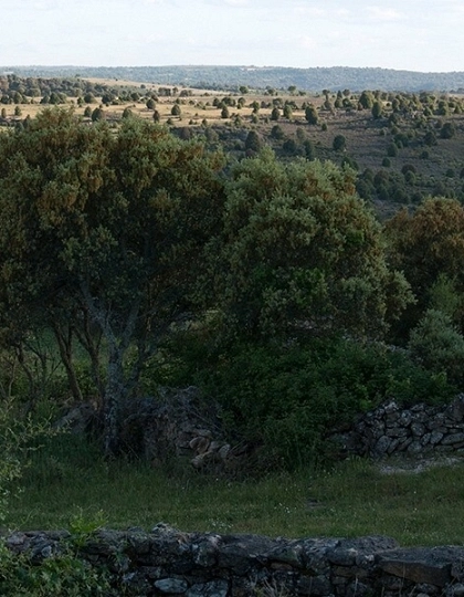 Rutas de Senderismo en Fermoselle