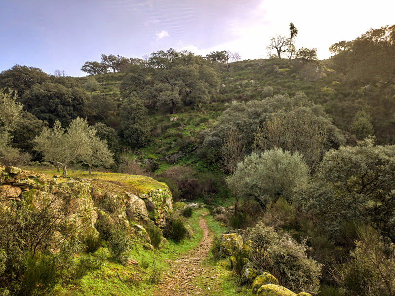 Camino de los Arrieros